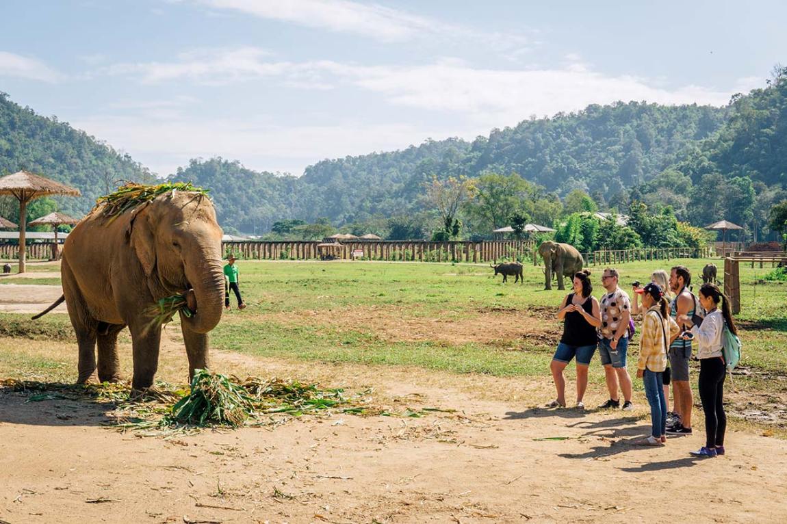 Chiang Mai itinerary - perfect 3, 4 & 5 days in Chiang Mai