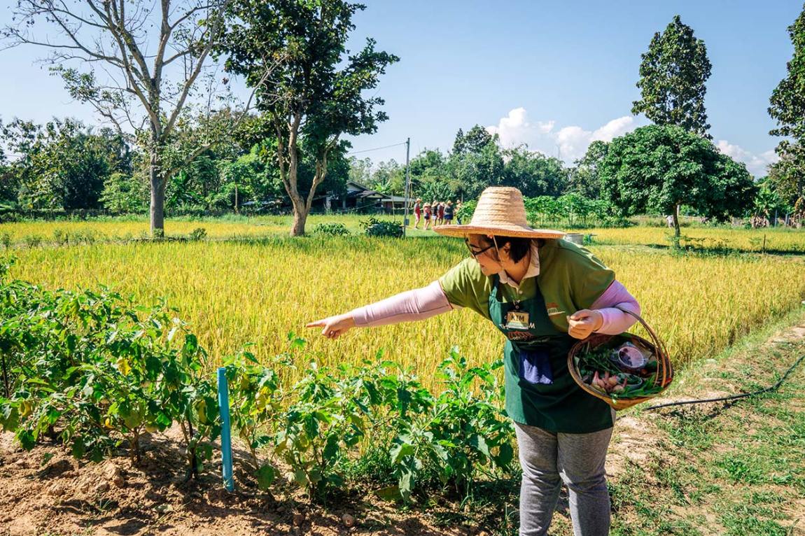 Chiang Mai itinerary - perfect 3, 4 & 5 days in Chiang Mai. Thai Farm Cooking school