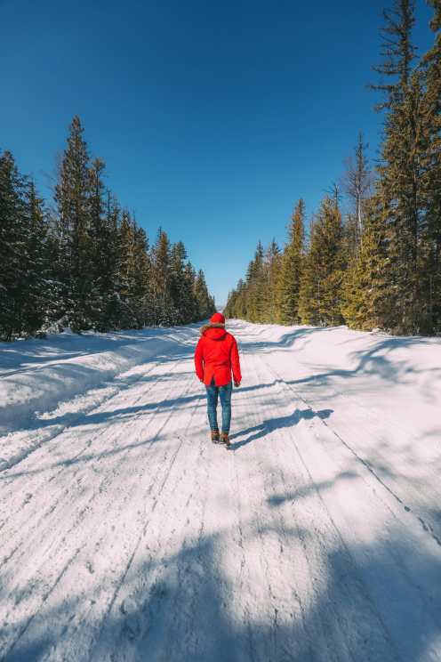 17 Beautiful National Parks In Canada You Have To Visit (24)