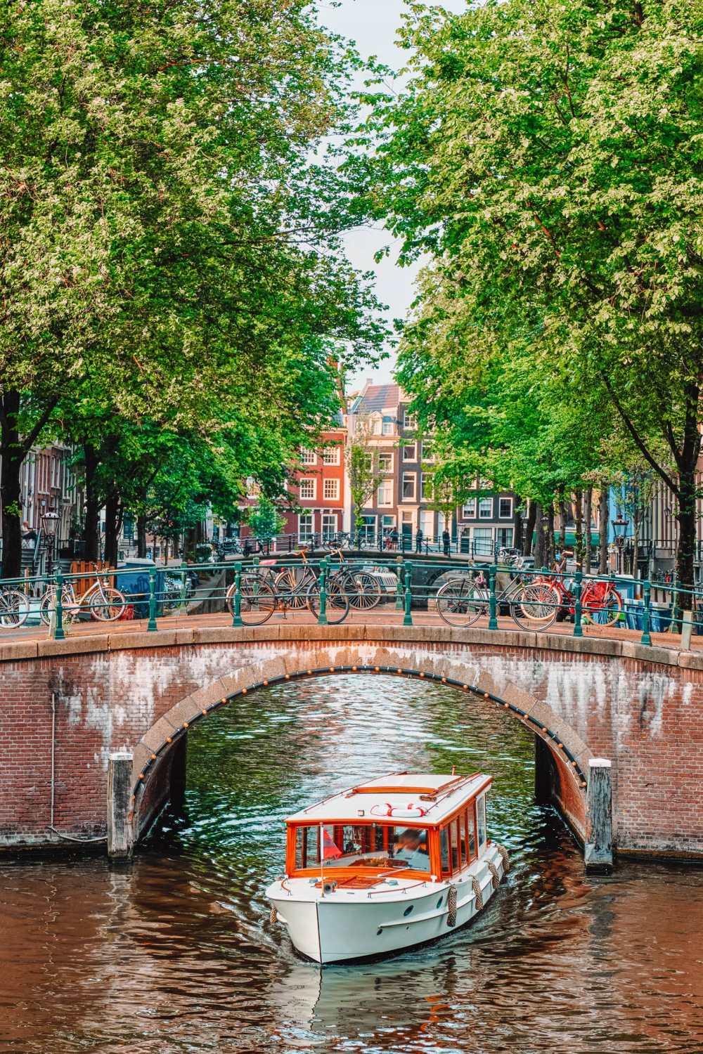 Best Things To Do In Amsterdam boat tour