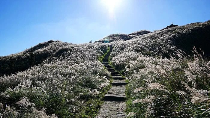 Yangmingshan national park