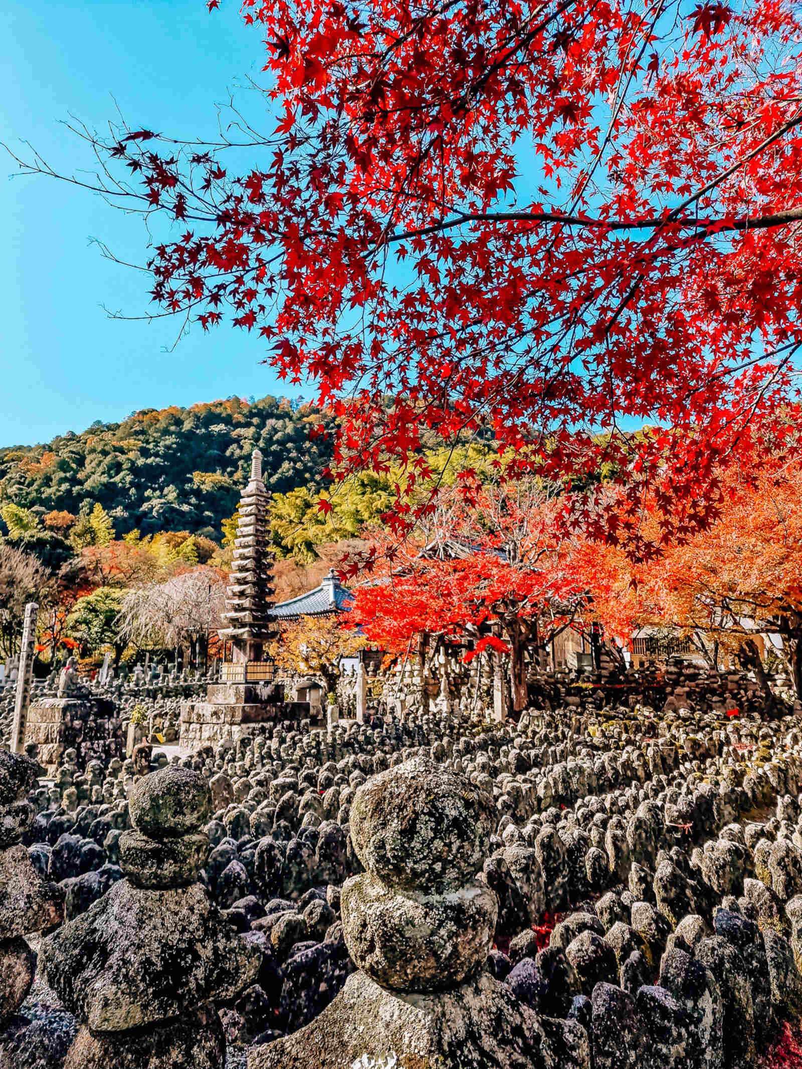 hundreds of small stone statues in a temple with a red leaf tree hanging over it