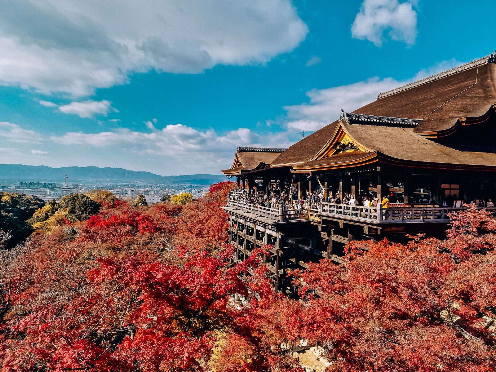 A large wooden temple on stilts surrounded by red-leaved trees with a view of Kyoto city in the distance