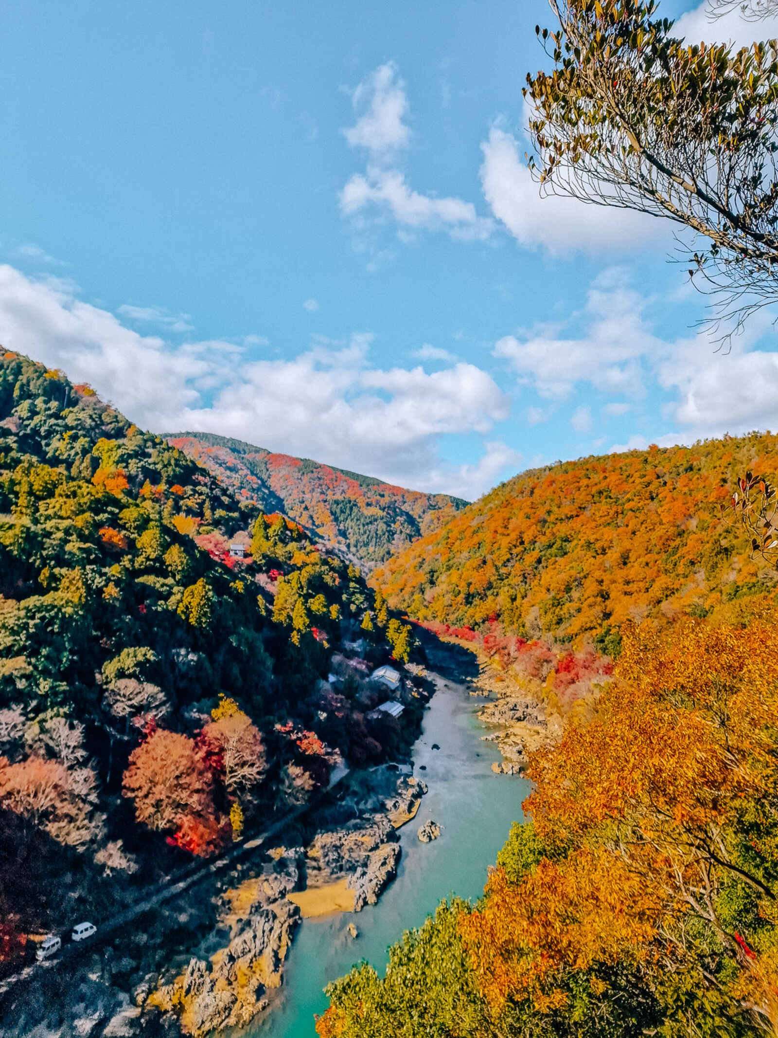 looking down from a viewpoint at a valley with a blue river running through it, the trees on each side are autumnal orange and yellow