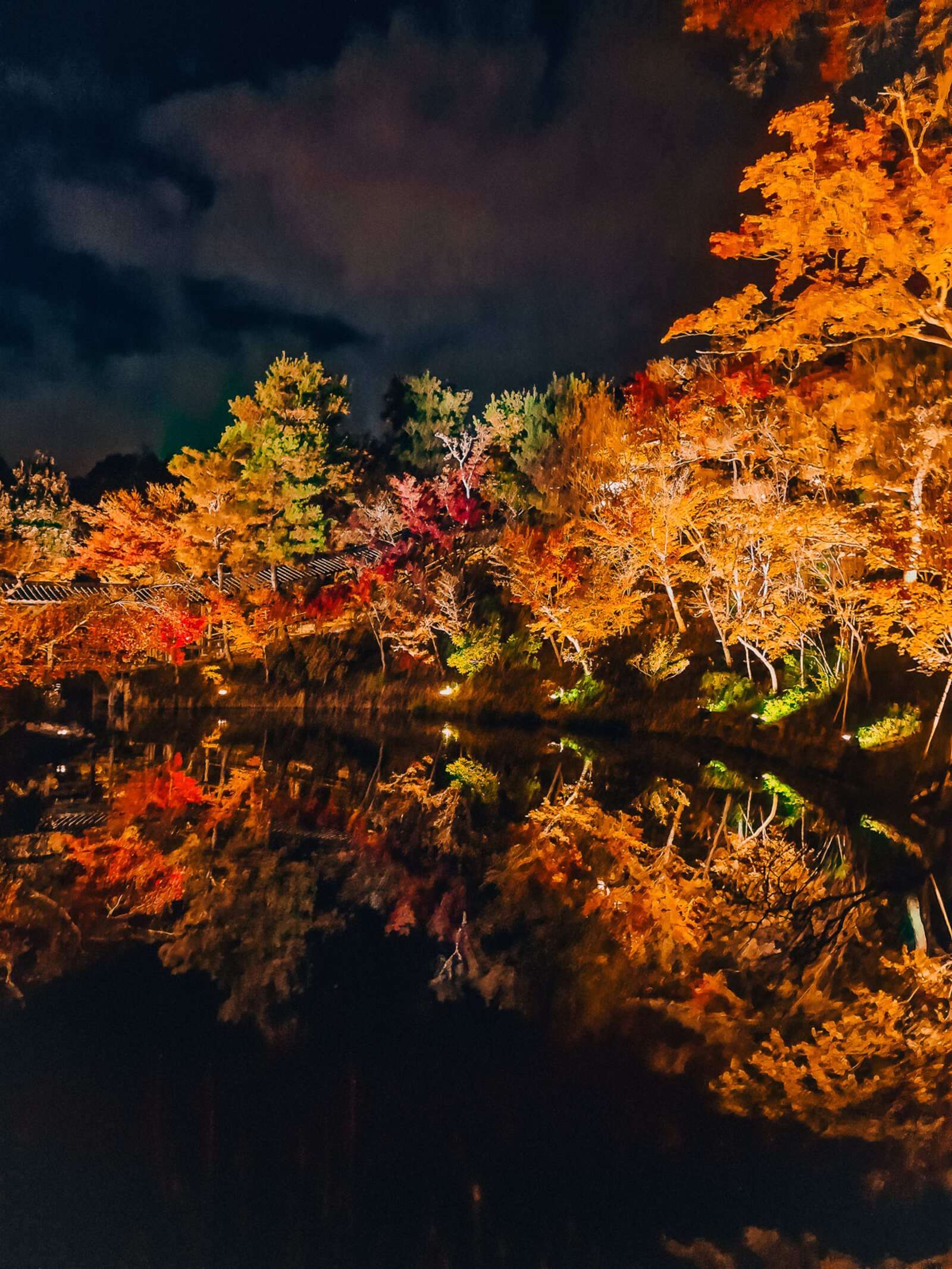 autumn trees lit up at night with their reflection in the water