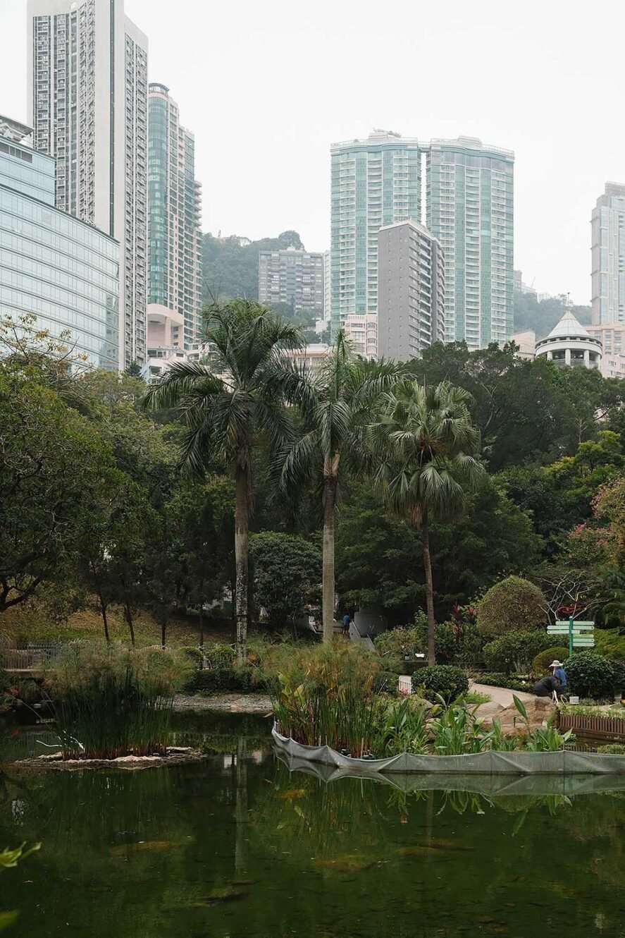 Hong Kong Park with high buildings in the background