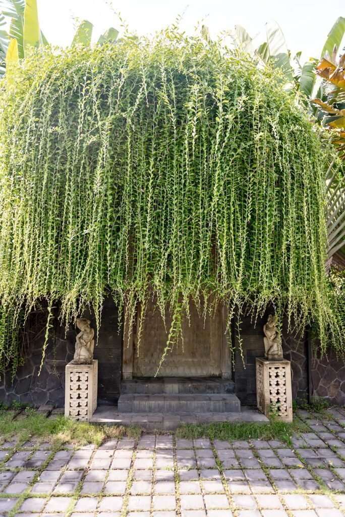 The perfect way to spend a relaxing and luxurious week in Bali | The Royal Purnama