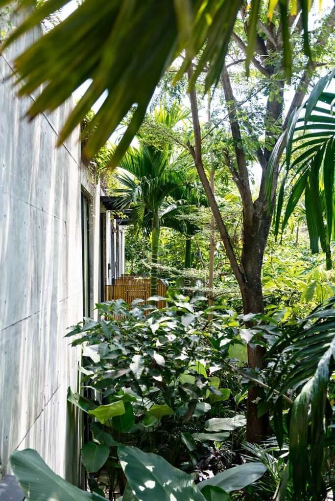 The perfect way to spend a relaxing and luxurious week in Bali | Hotel Bisma Eight Ubud