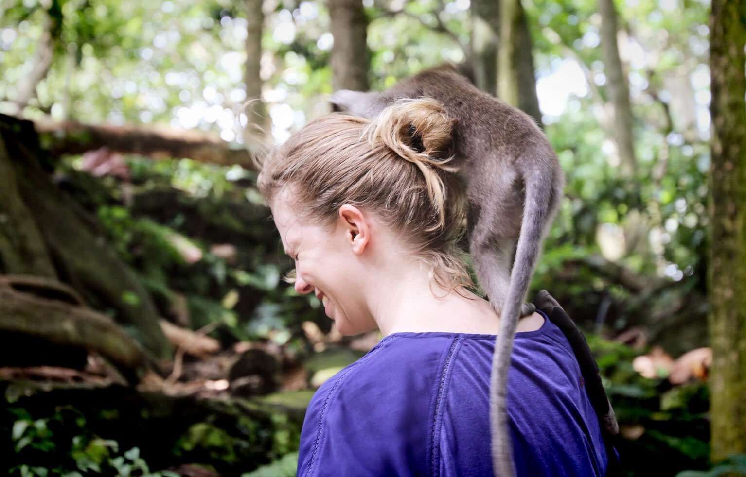 The perfect way to spend a relaxing and luxurious week in Bali | Ubud Monkey Forest