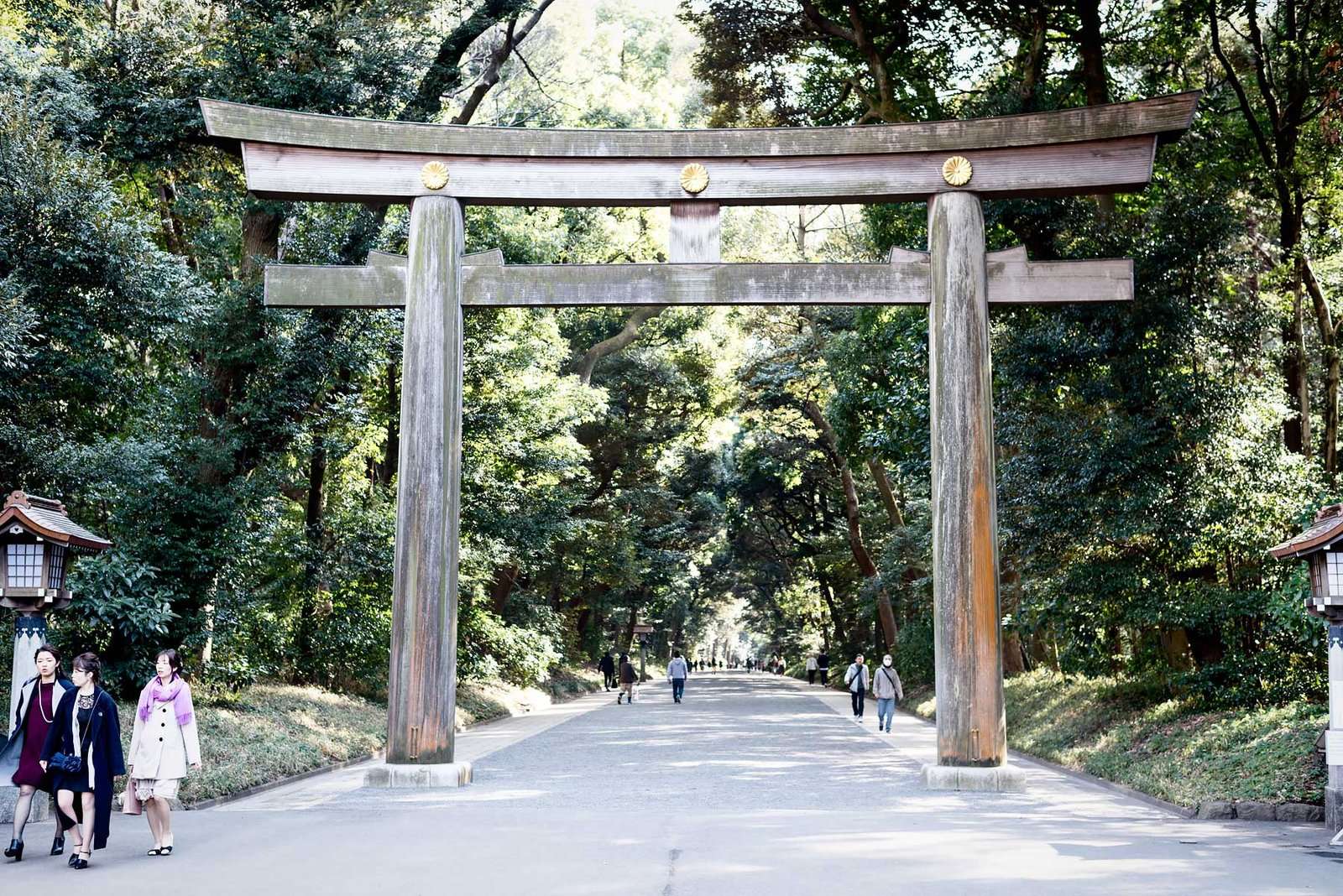 Favorite Things to Do & Places to Eat in Tokyo - Video & Photos on Urban Pixxels (urbanpixxels.com) | Meiji Shrine